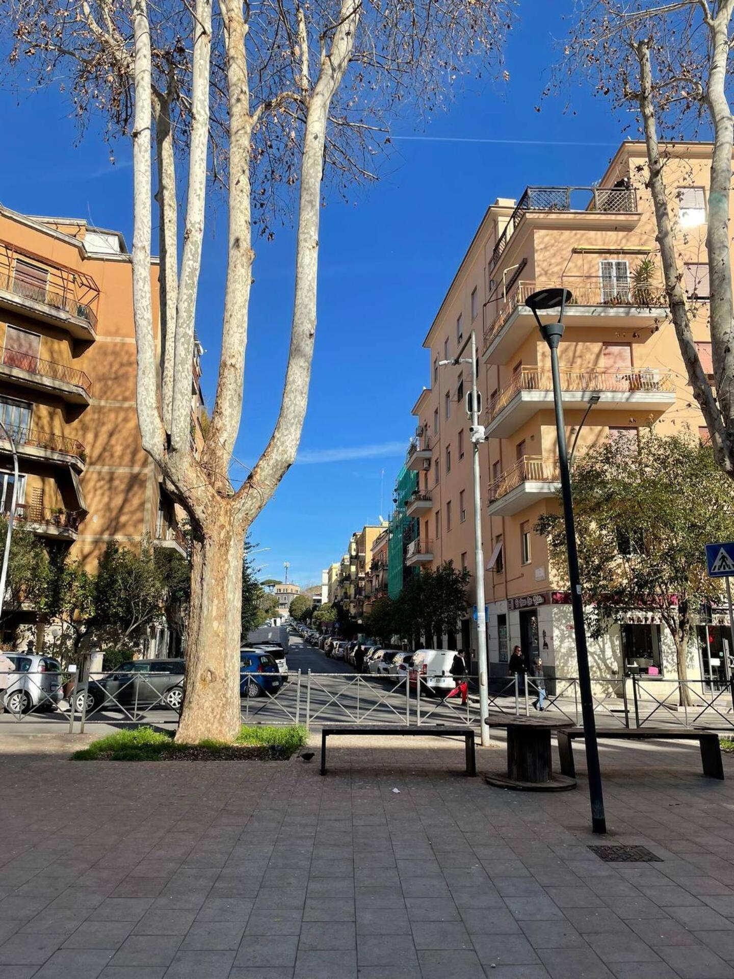 Linea 8, Monteverde Roma